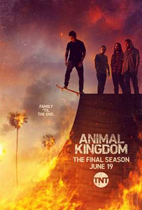 Animal Kingdom - 6ª Temporada Legendada Torrent Download