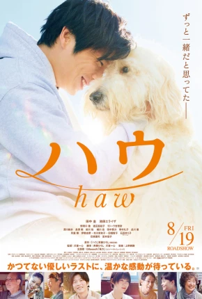 Haw - Legendado Torrent Download