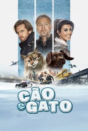 Cão e Gato Torrent Download