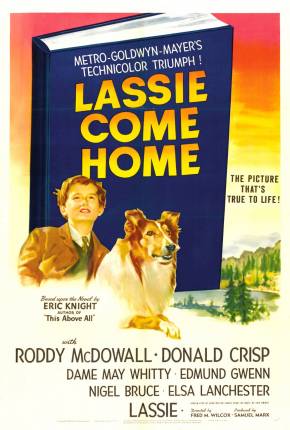 Lassie - A Força do Coração Torrent Download